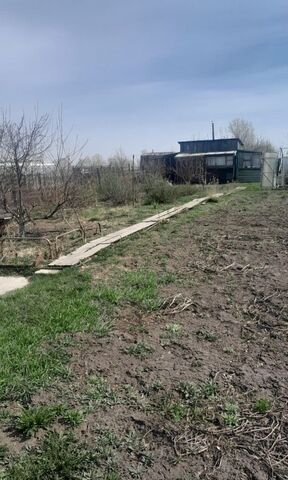 Новоалтайск фото