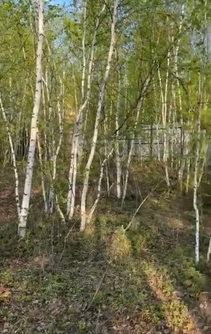 земля г Якутск тракт Вилюйский фото 7