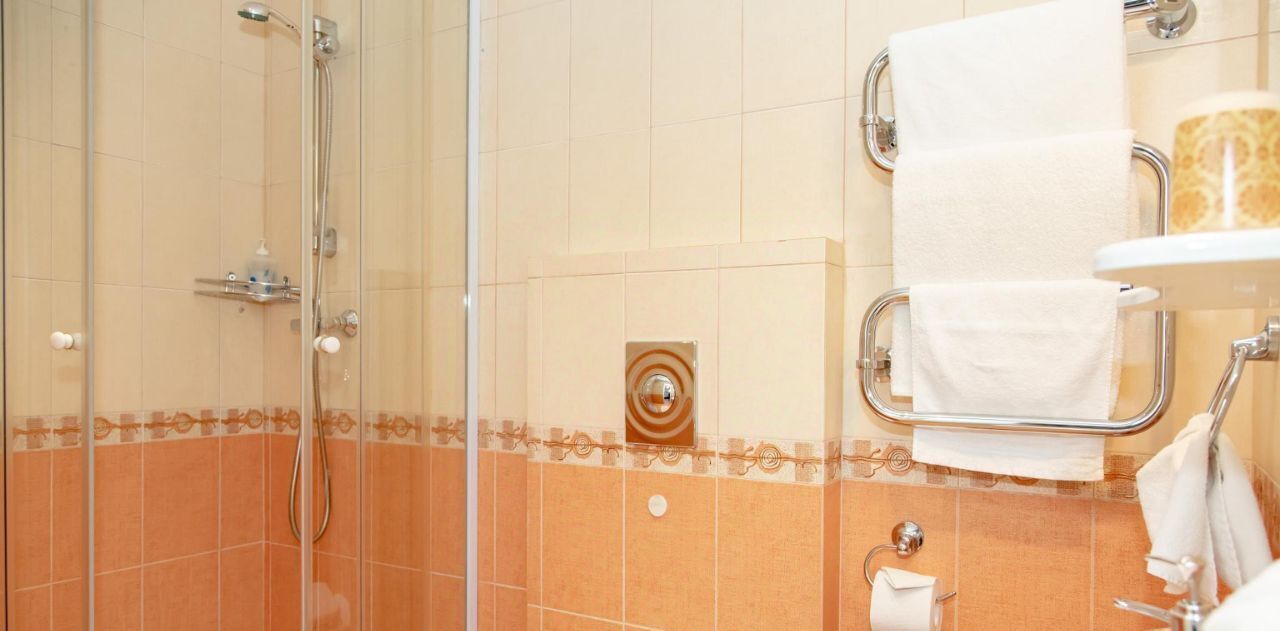 комната г Санкт-Петербург метро Гостиный Двор наб Канала Грибоедова 35 фото 9