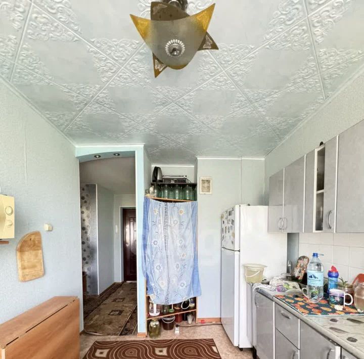 квартира г Благовещенск с Плодопитомник ул Мичурина 3 фото 7