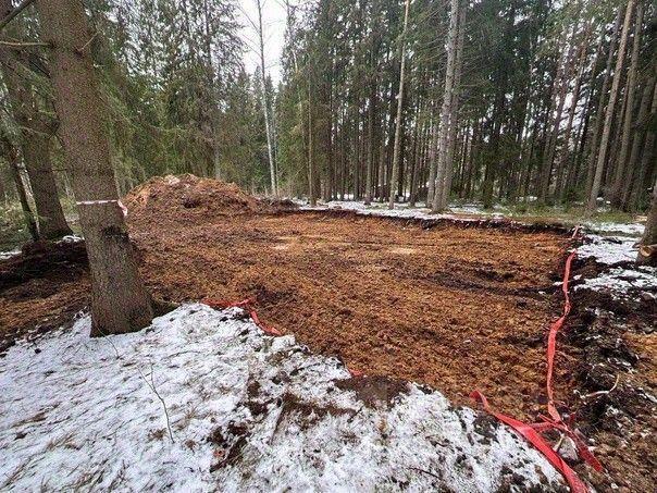 земля г Зеленогорск ул Танкистов 32аб р-н Курортный Ленинградская область фото 1