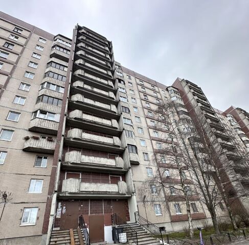 Старая Деревня фото