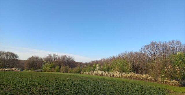 ул Советская 8 Сомовское сельское поселение, Землянск фото