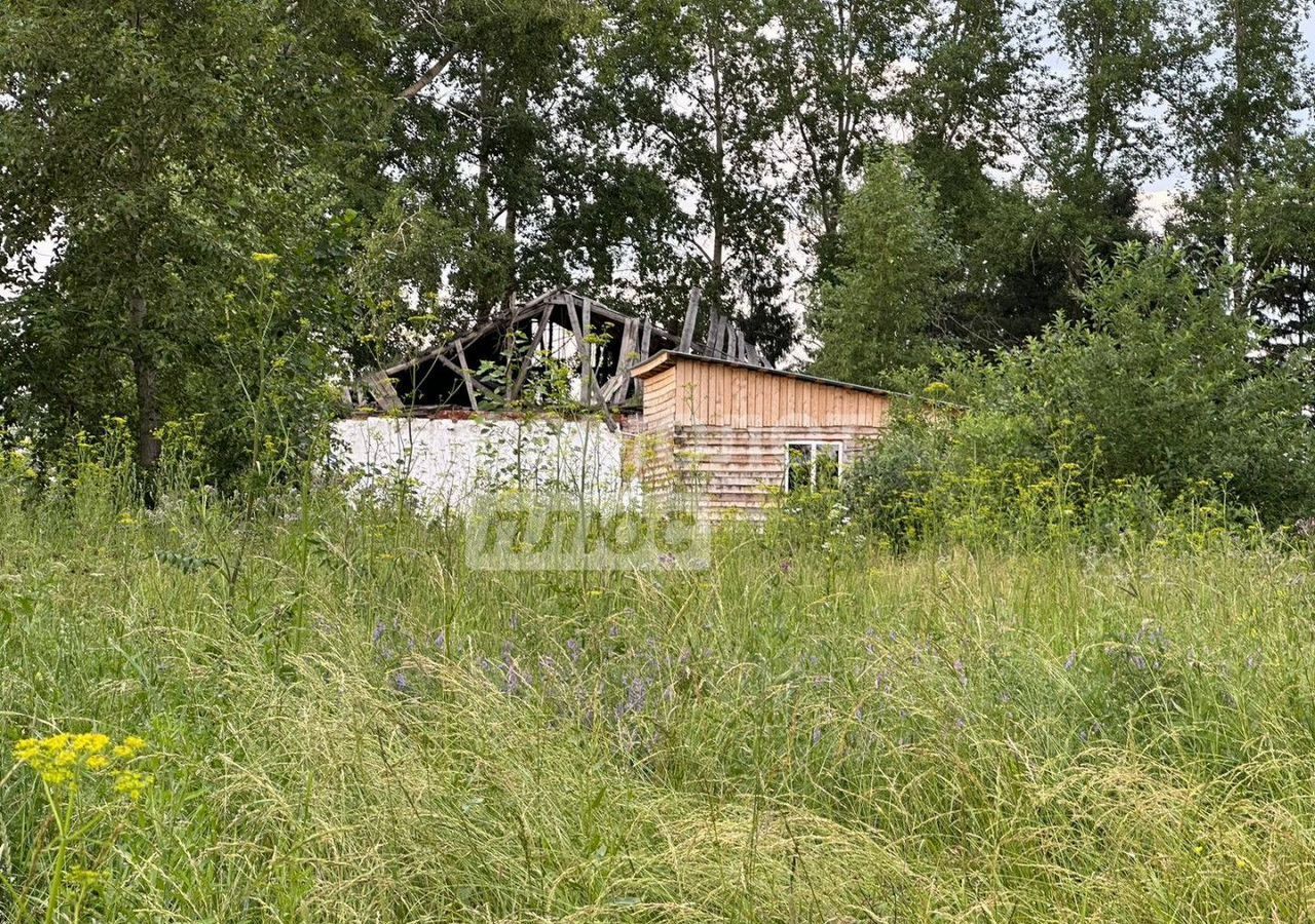 земля р-н Тарский г Тара ул Чкалова 53/138 Тарское городское поселение фото 2