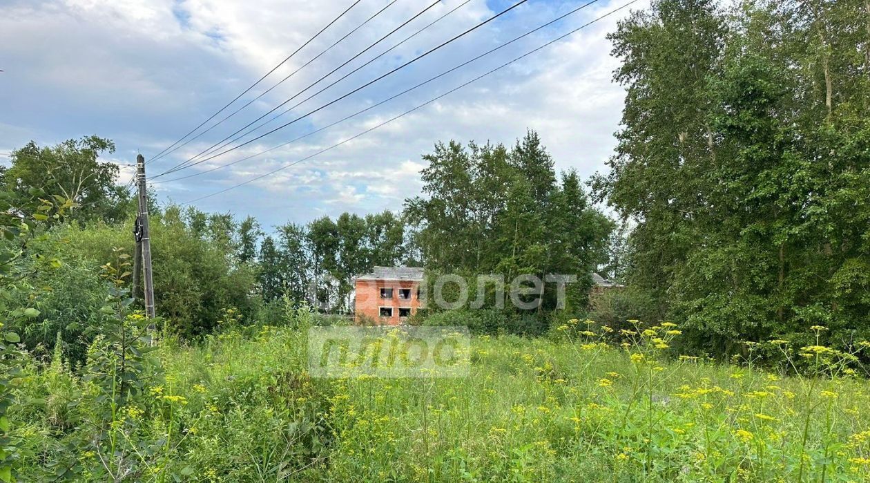 земля р-н Тарский г Тара ул Чкалова 53/138 Тарское городское поселение фото 1