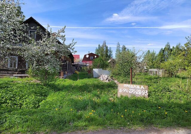 ул Новая 6 Московское шоссе, 70 км, Любанское городское поселение фото