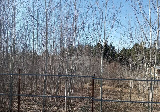 ул Лесная Томск фото