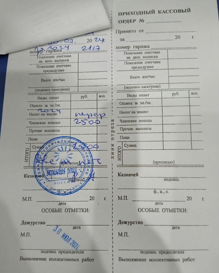 гараж г Новосибирск Берёзовая роща туп Красина 1к/3 фото 8