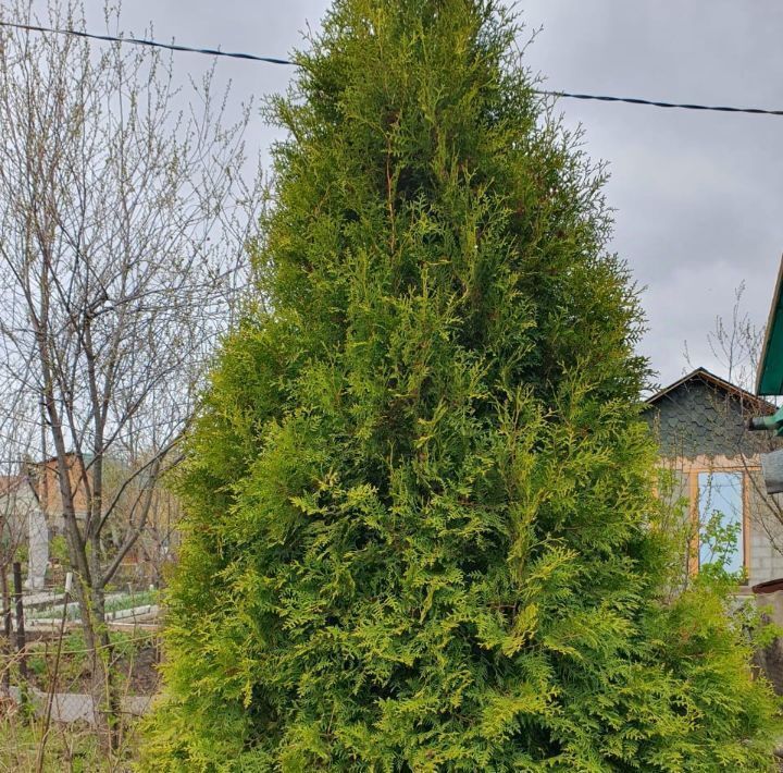 дом г Челябинск р-н Курчатовский снт Искра аллея 16-я фото 9