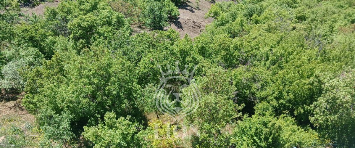 дом г Алушта ул Крымская 25 фото 49
