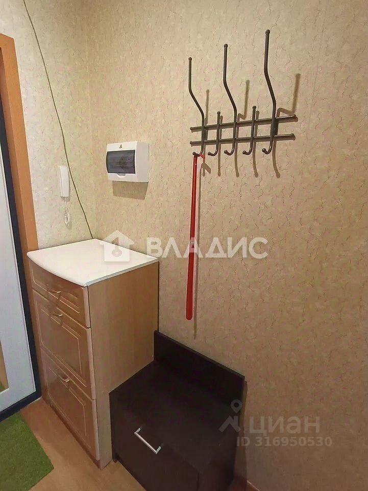 квартира г Санкт-Петербург п Парголово ул Николая Рубцова 5 Ленинградская область, Выборгский район фото 19