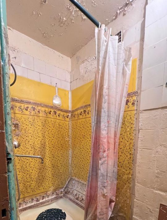 комната г Колпино ул Веры Слуцкой 54 Шушары фото 18