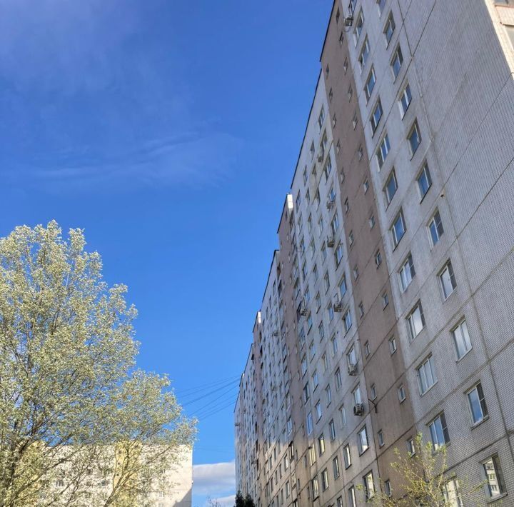 квартира г Балашиха мкр Павлино 25, Некрасовка фото 2