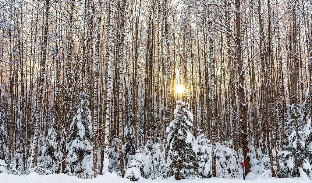 земля г Ступино коттеджный посёлок Уайт Парк фото 9