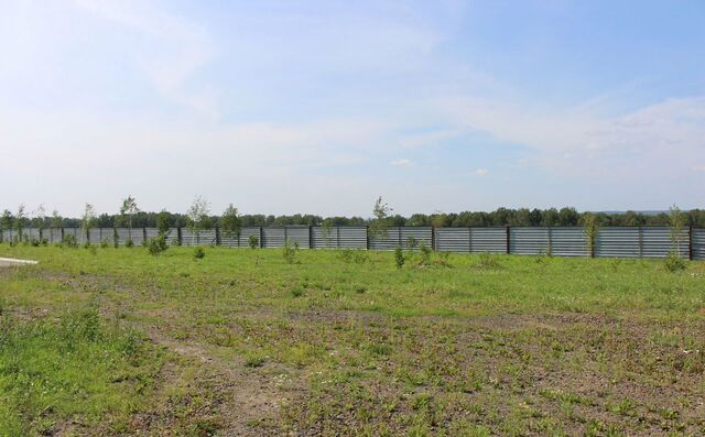 земля р-н Рудничный Кемеровская обл. — Кузбасс, жилой район Боровой фото