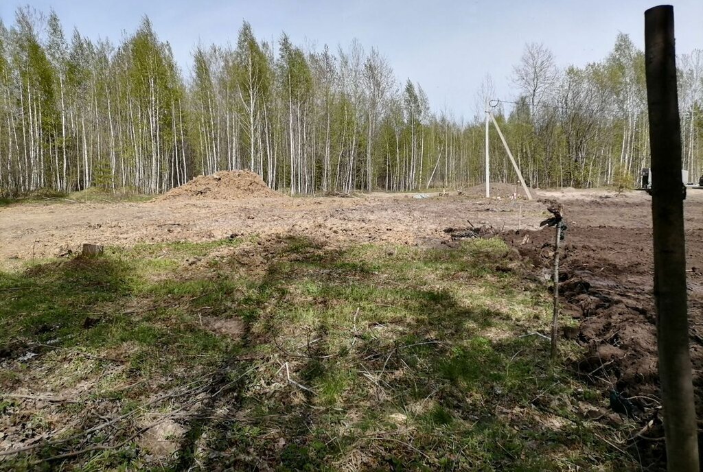 земля г Тобольск садоводческое товарищество Рябинка фото 3