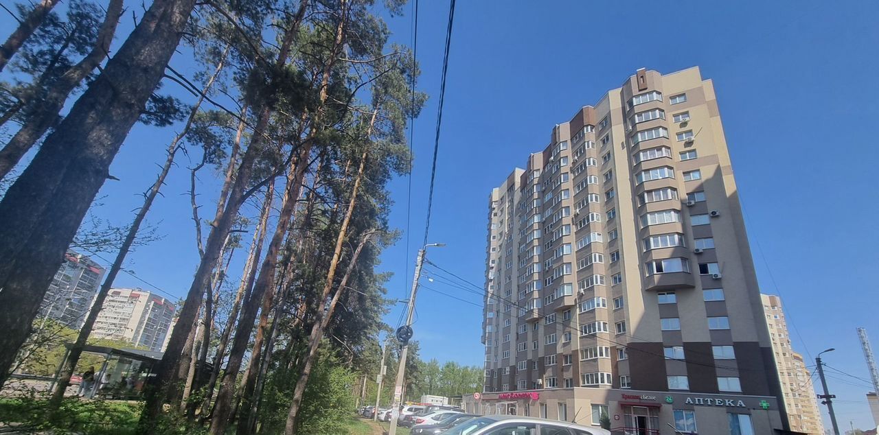 торговое помещение г Воронеж р-н Центральный пр-кт Московский 142/1 фото 3