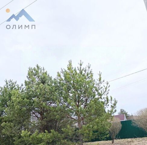 д Меники фото