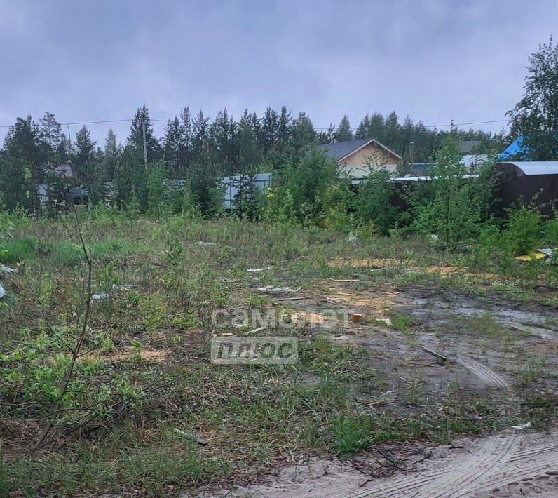 земля г Сургут тер СОТ-57 Лето фото 1