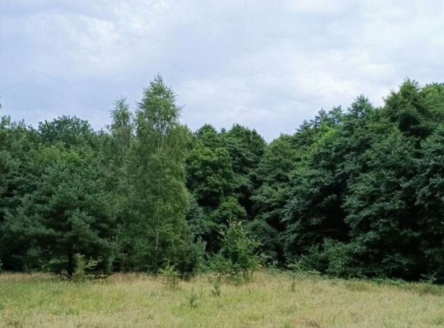 земля ул Большая Окружная 2 фото