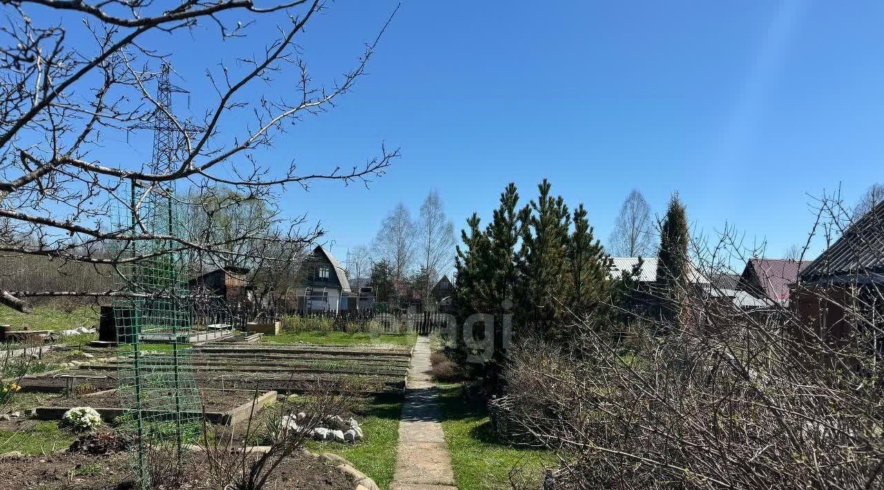 земля г Междуреченск снт Мечта 5-я линия фото 9