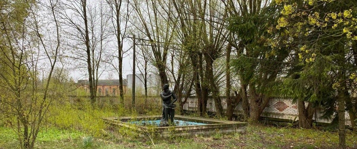 производственные, складские г Великий Новгород 233-й кв-л фото 17