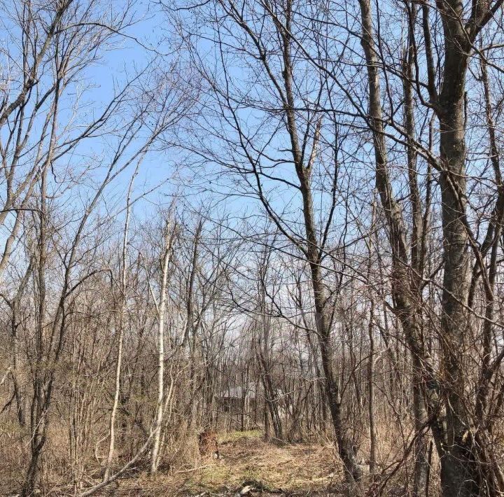 земля г Владивосток п Трудовое ул Верхоянская фото 2