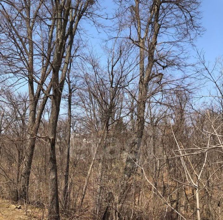 земля г Владивосток п Трудовое ул Верхоянская фото 3