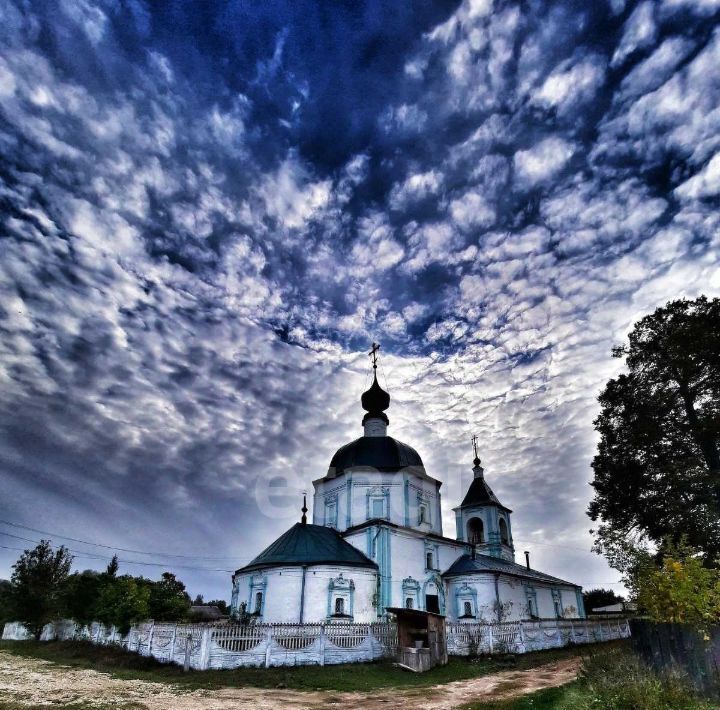 земля г Выкса фото 6