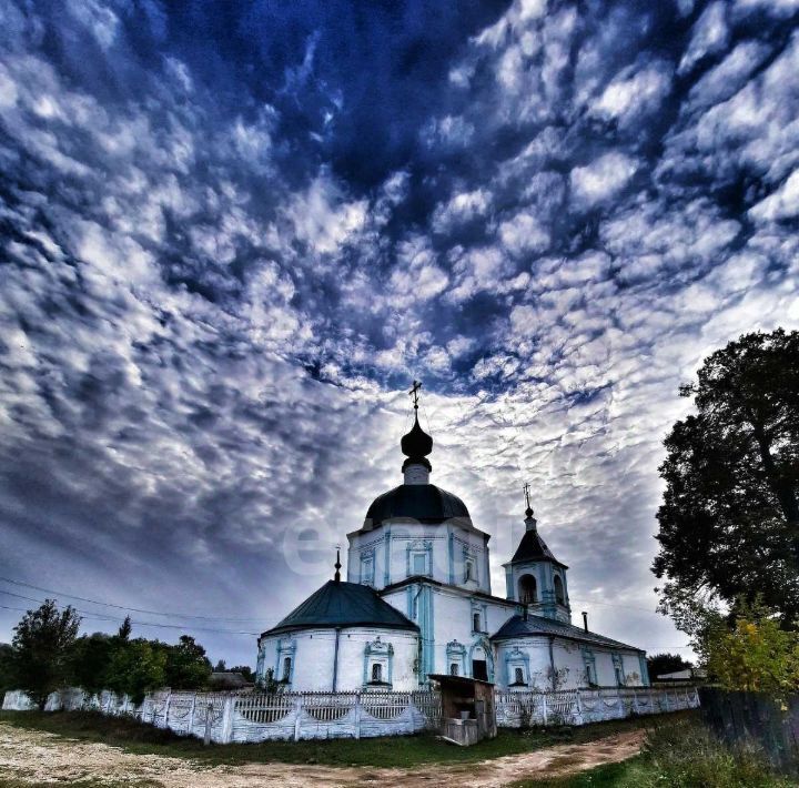 земля г Выкса фото 6