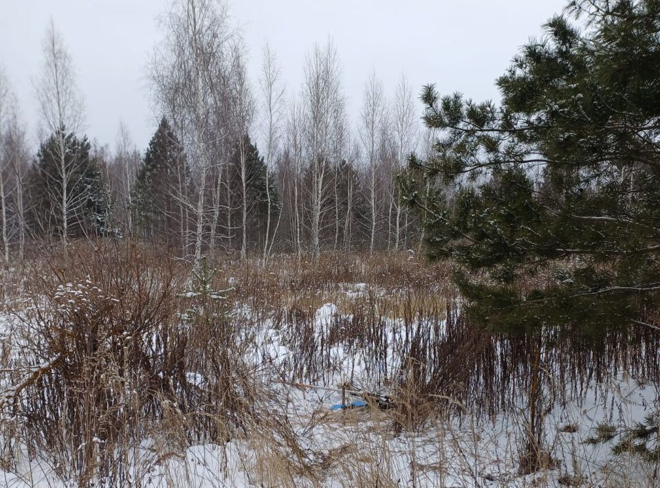 земля г Липецк с Желтые Пески р-н Правобережный фото 1