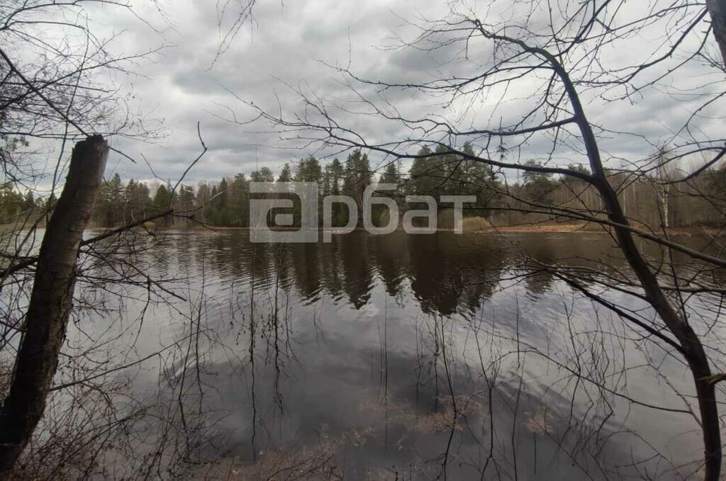 земля р-н Шарьинский г Шарья ул Ст.Водокачка фото 6