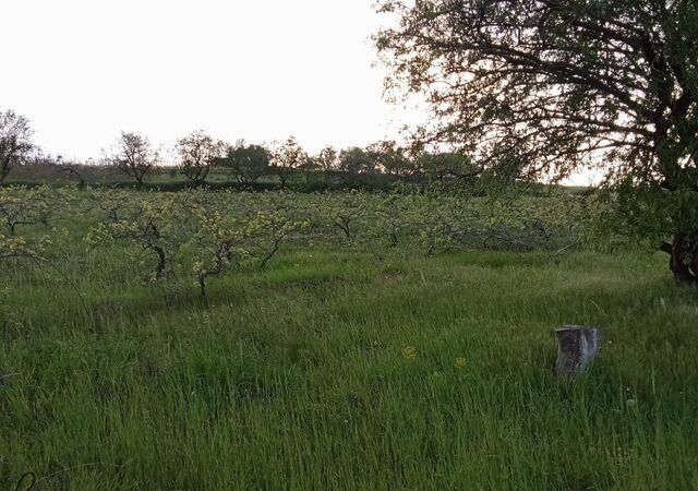 ул Центральная сельское поселение Сабнова, Дербент фото