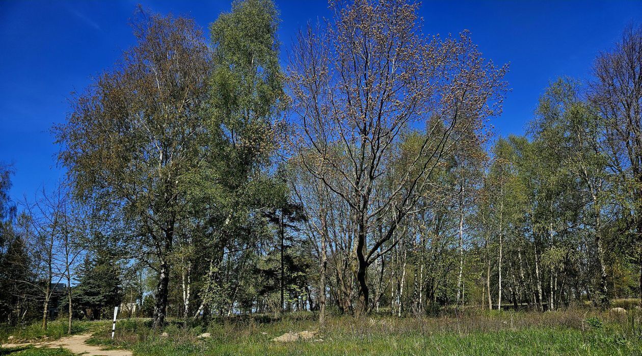 квартира г Пионерский ул Прибрежная 21к/1 фото 4