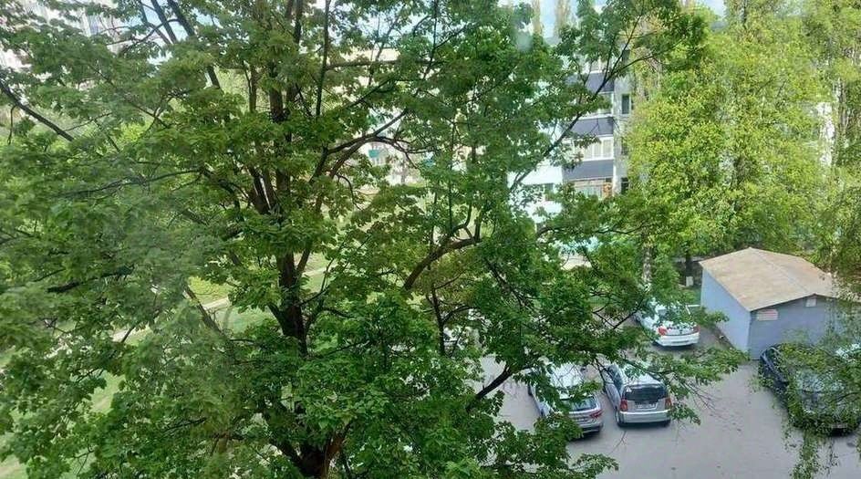 квартира г Старый Оскол Парковый микрорайон 23 фото 13