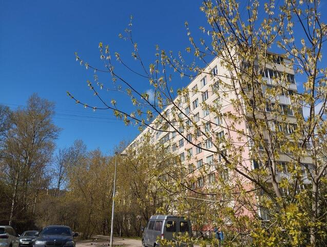 ул Турку 9/3 округ Купчино, Ленинградская область фото
