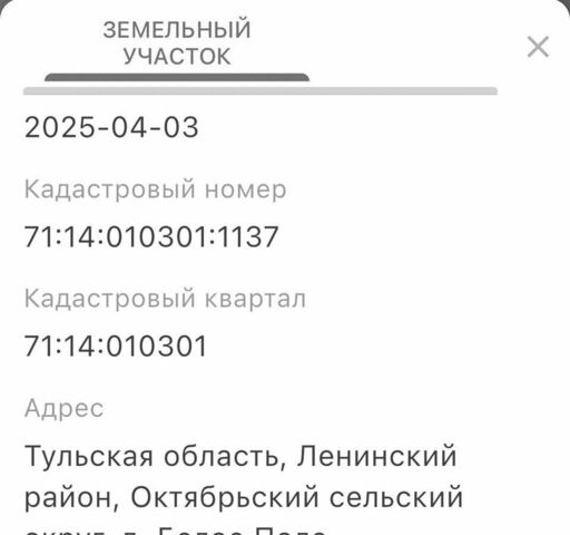 р-н Зареченский Ревякино фото