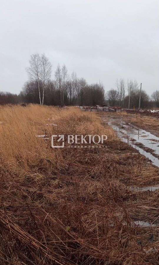 земля г Кострома пр-д Ситцевый фото 2