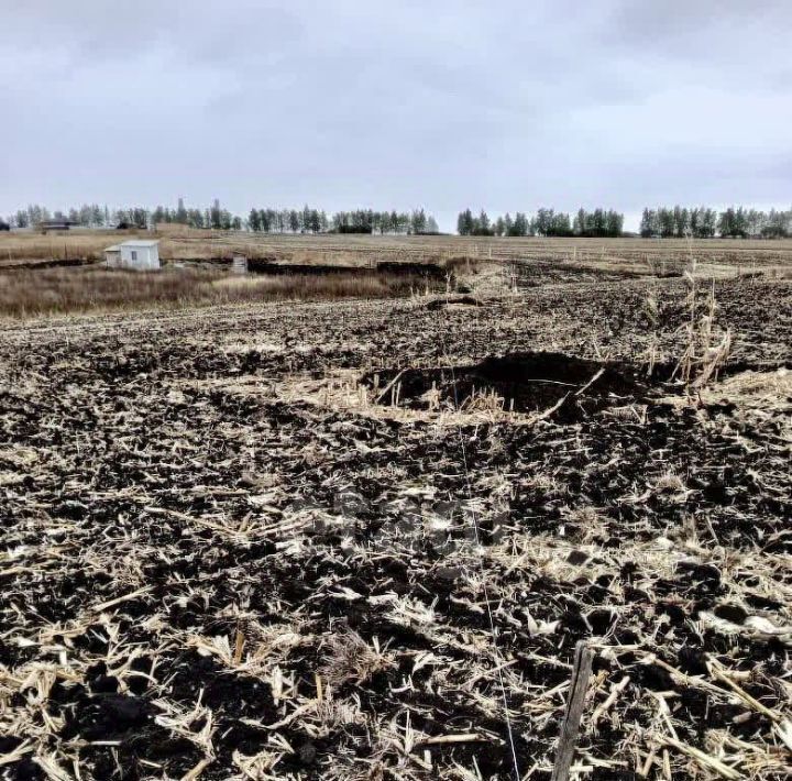 земля г Губкин ул Новаторов фото 3