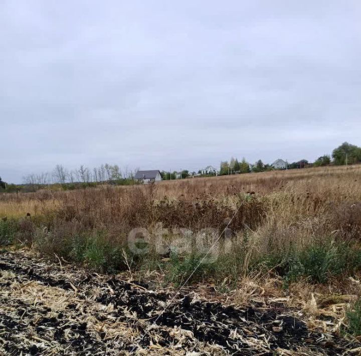 земля г Губкин ул Новаторов фото 4