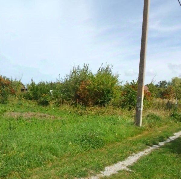 земля р-н Зеленоградский г Зеленоградск снт Сосновка ул Сиреневая фото 9