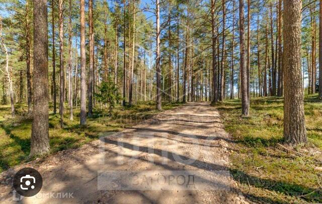 нп 3-я Линия Куйвозовское сельское поселение, Гарболово, СНТ Грузино-7 фото