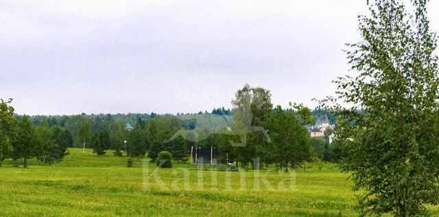 Дарьино-Успенское тер., Одинцово фото