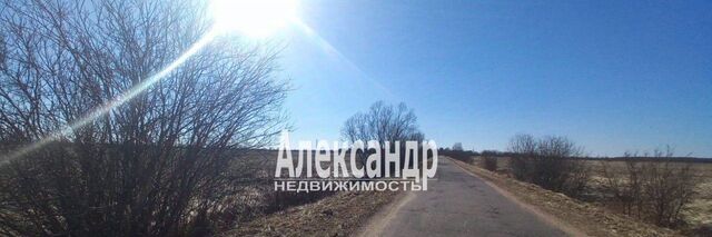 д Пуговкино Наговское с/пос фото