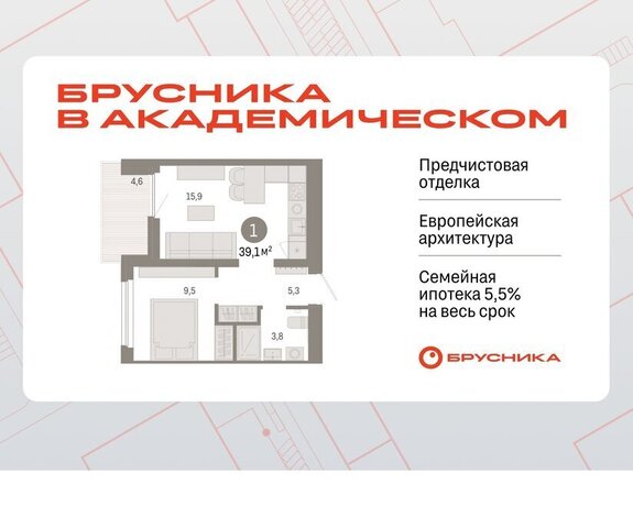 Чкаловская ЖК Брусника в Академическом фото