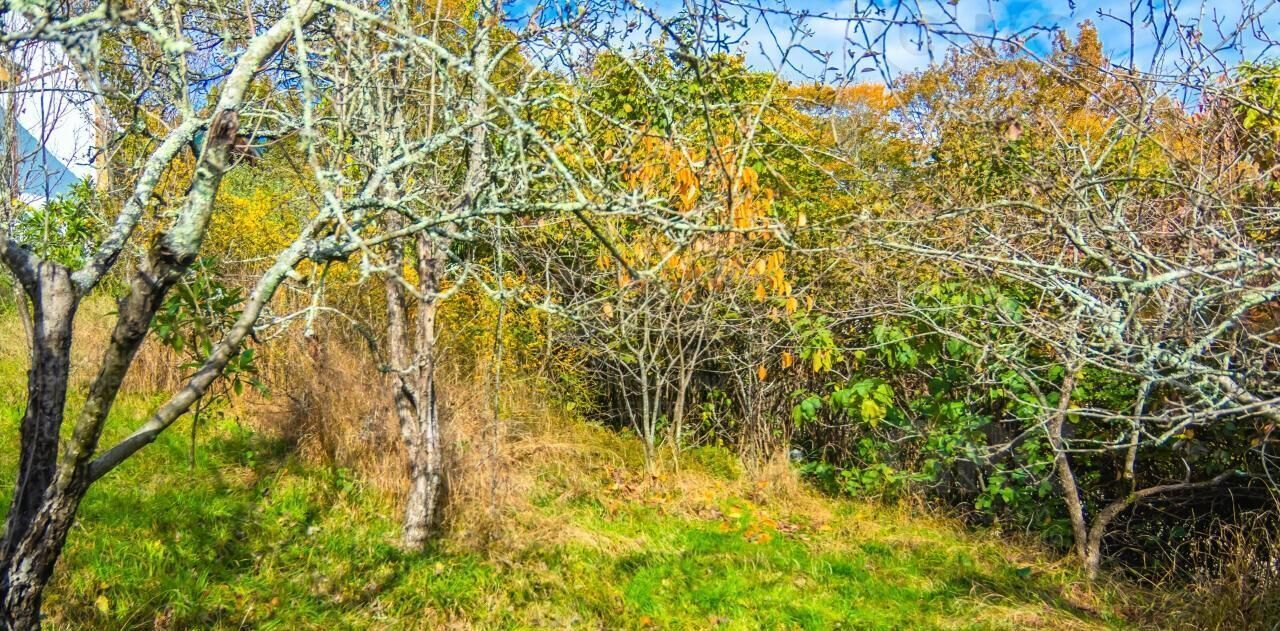 земля г Сочи с Бестужевское ул Пензенская фото 1