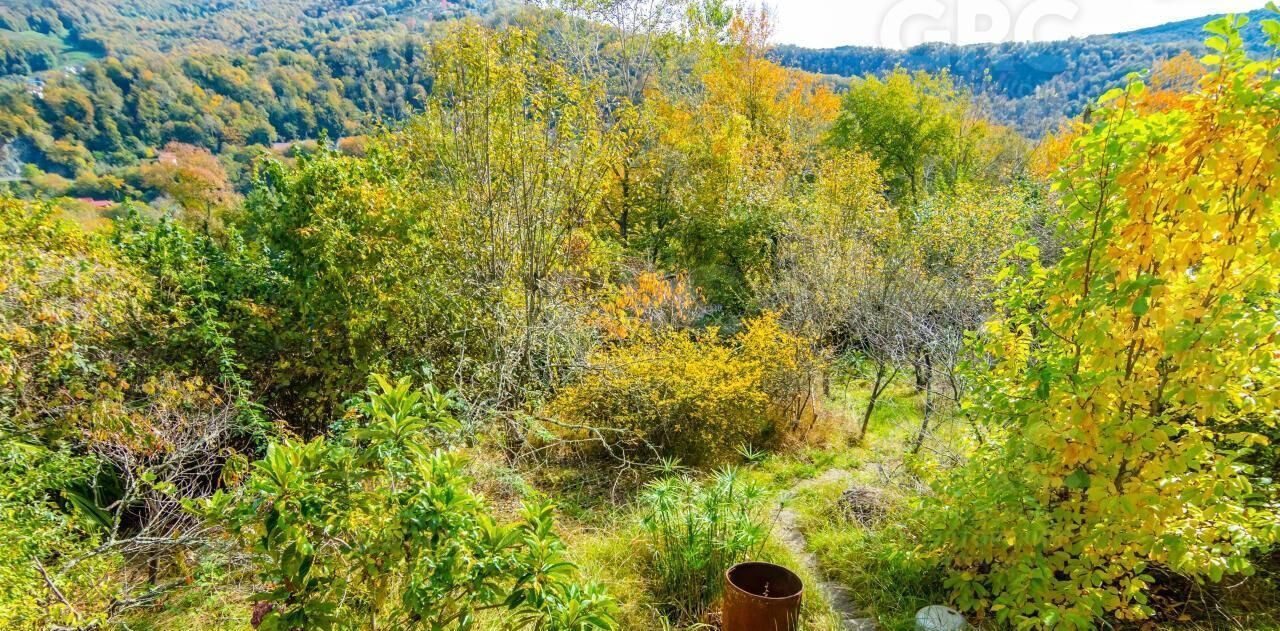 земля г Сочи с Бестужевское ул Пензенская фото 3