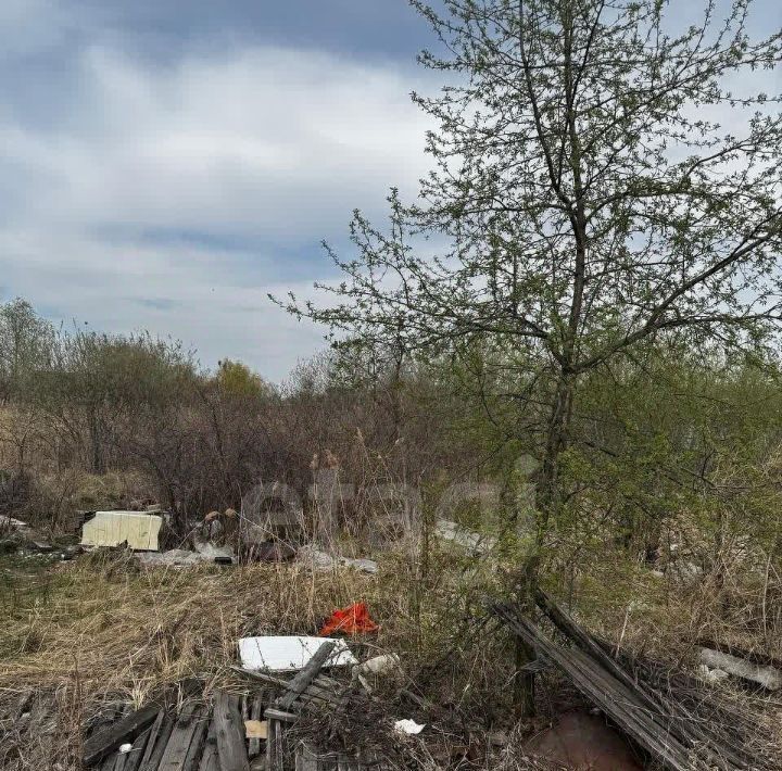 земля г Омск р-н Советский снт Дары Сибири аллея 4-я, 36 фото 6