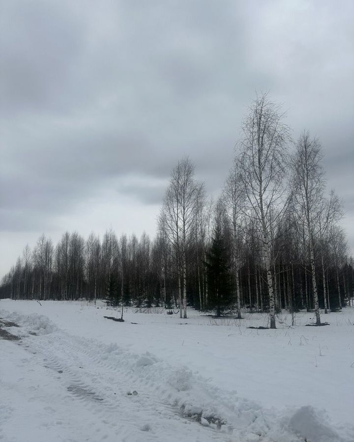 земля г Добрянка д Бобки ул Нежинская 11 Пермь фото 5