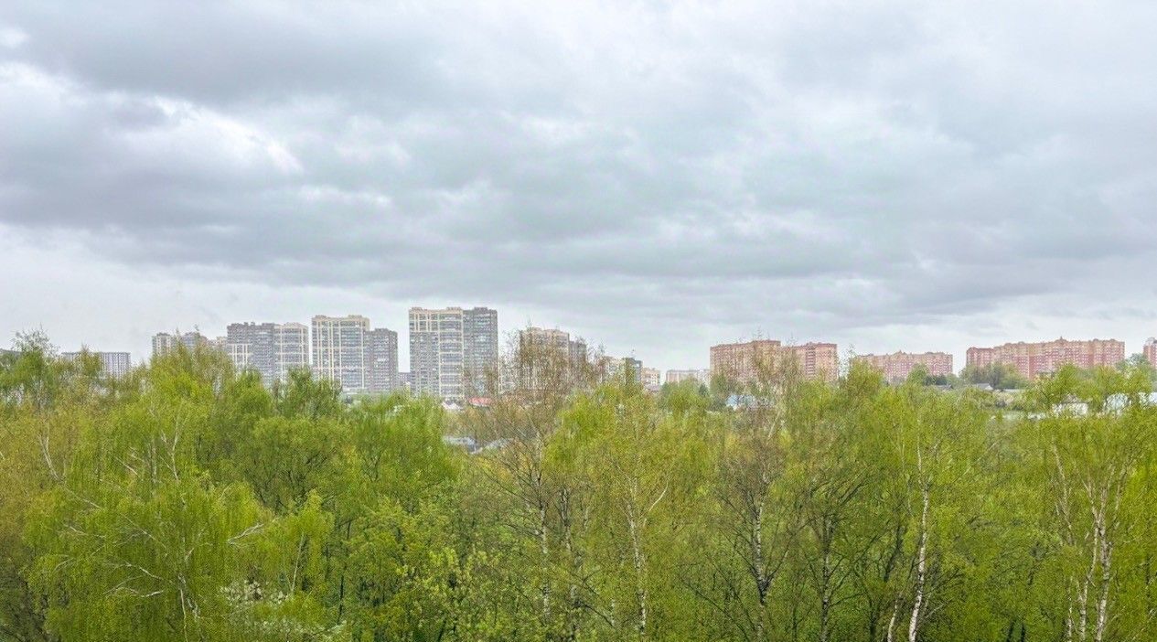 квартира г Москва ул Муравская 38бк/4 направление Ленинградское (северо-запад) ш Пятницкое фото 17